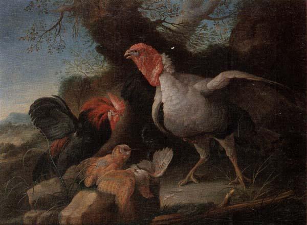 unknow artist Still life of a turkey,a bantan,a barn owl and a grey partridge in a rocky landscape France oil painting art